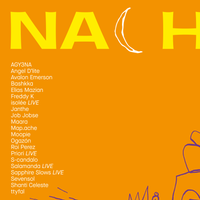 Nachtdigital NACHTI 2023 Poster