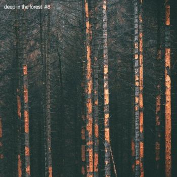 Mix of the Week 19.2020 • Circles & Spheres - deep in the forest #8 (Borkenkäfer)