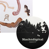 Various Artists - Nachtdigital Flex Vinyl
